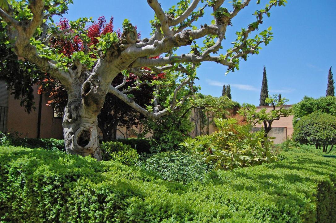 Un Vergel Al Pie De La Alhambra. Enjoy It Now!! グラナダ エクステリア 写真